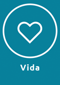 Vida